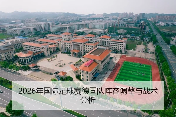 2026年国际足球赛德国队阵容调整与战术分析
