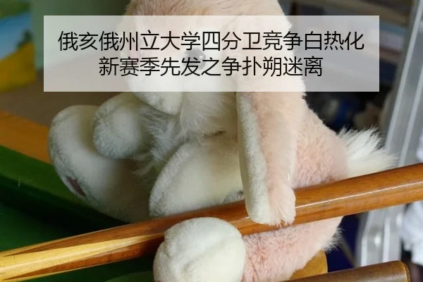 e-hai-e-zhou-li-da-xue-si-fen-wei-jing-zheng-bai-re-hua-xin-sai-ji-xian-fa-zhi-zheng-pu-shuo-mi-li-3-757.jpg